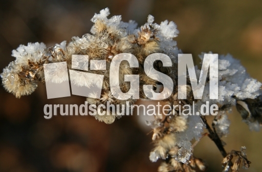 Winterimpressionen 006.jpg